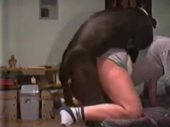 [Video of a Dog Ejaculating] When this gentleman works, the attractive athlete enjoys having sex with his dog.